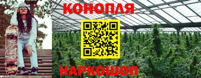 дмт Лесосибирск