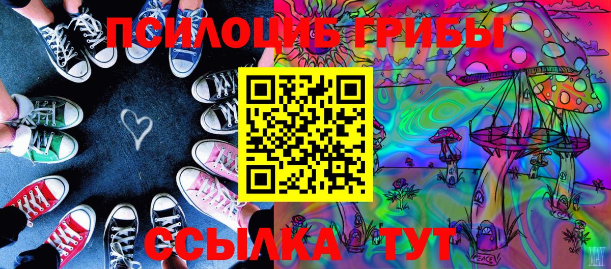 Псилоцибиновые грибы мицелий  Вход с VPN  Йошкар-Ола  Галлюциногенные грибы GOLDEN TEACHER 